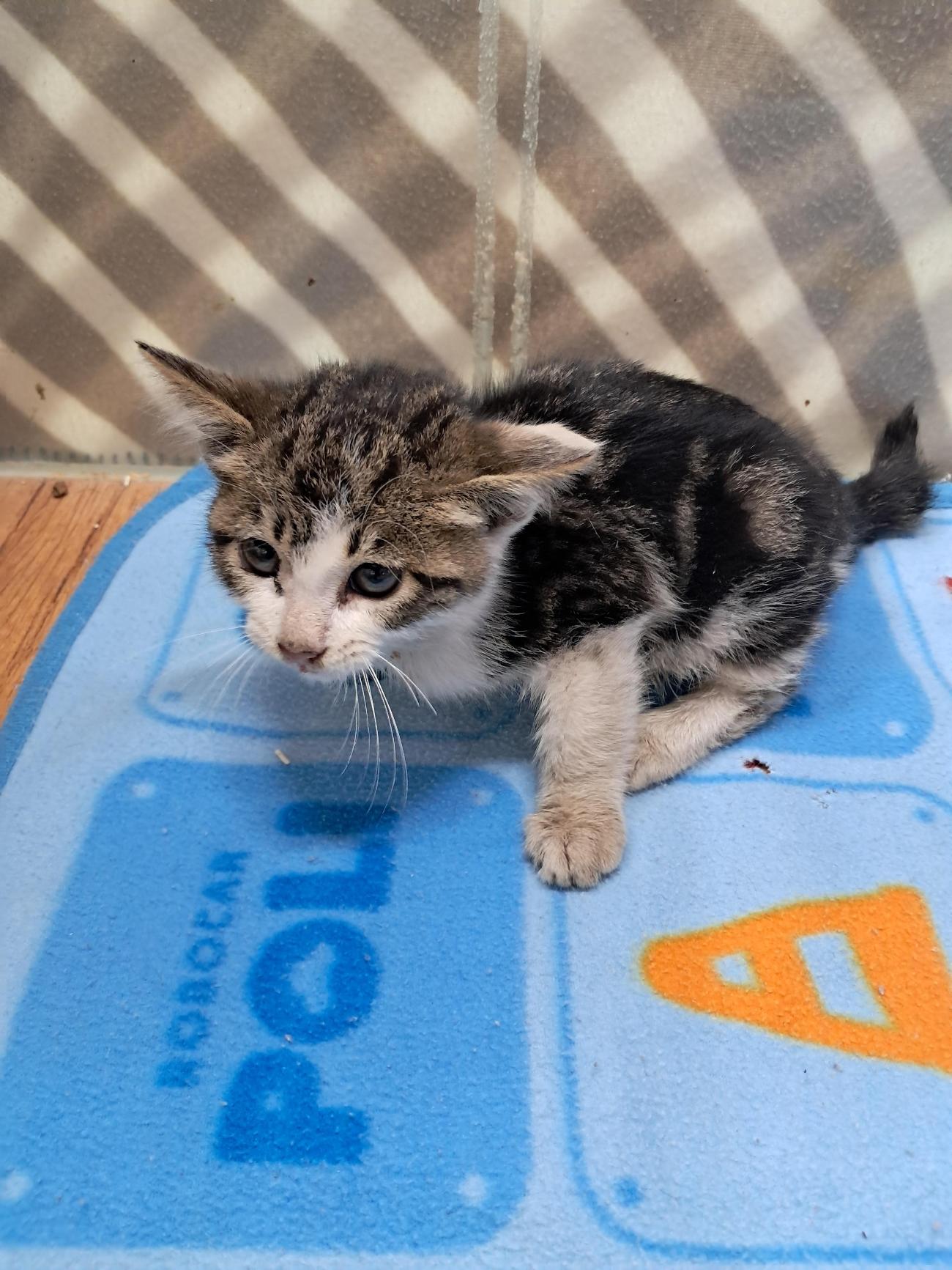 종료(자연사) 한국…